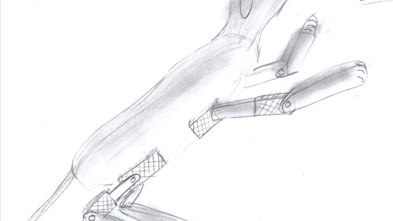 Robotics Studio Project - Dogbot’s Dance!