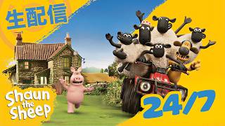 ひつじのショーン 24/7 LIVE STREAM 🐑|⭐Kids Cartoons⭐️ #shaunthesheep #livestream
