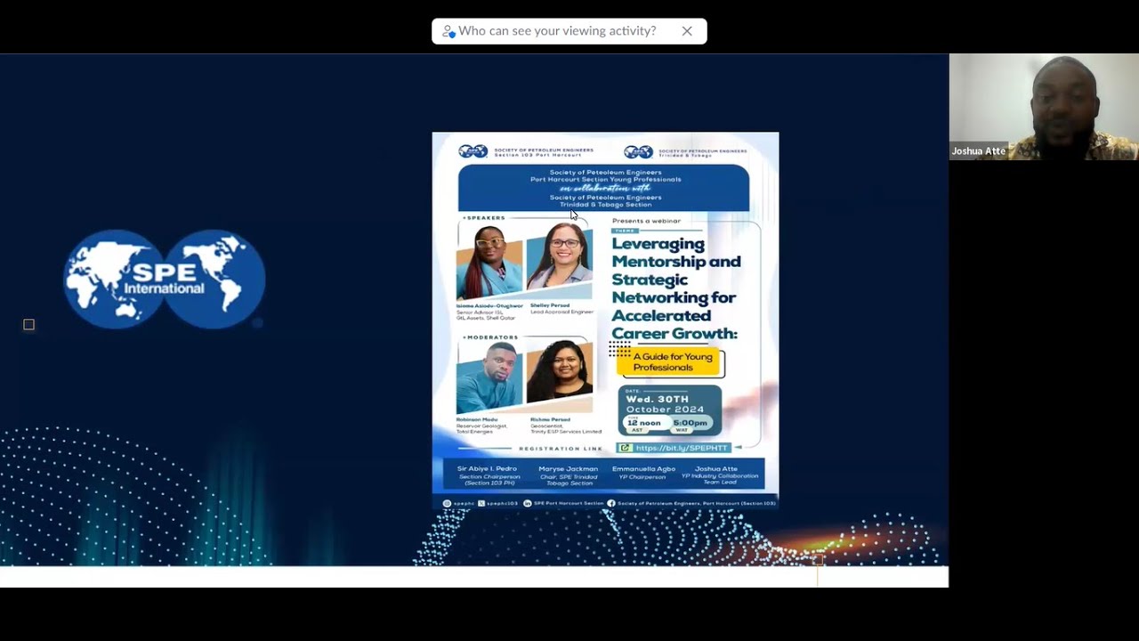 Leveraging Mentorship and Strategic Networking for Accelerated Career ...