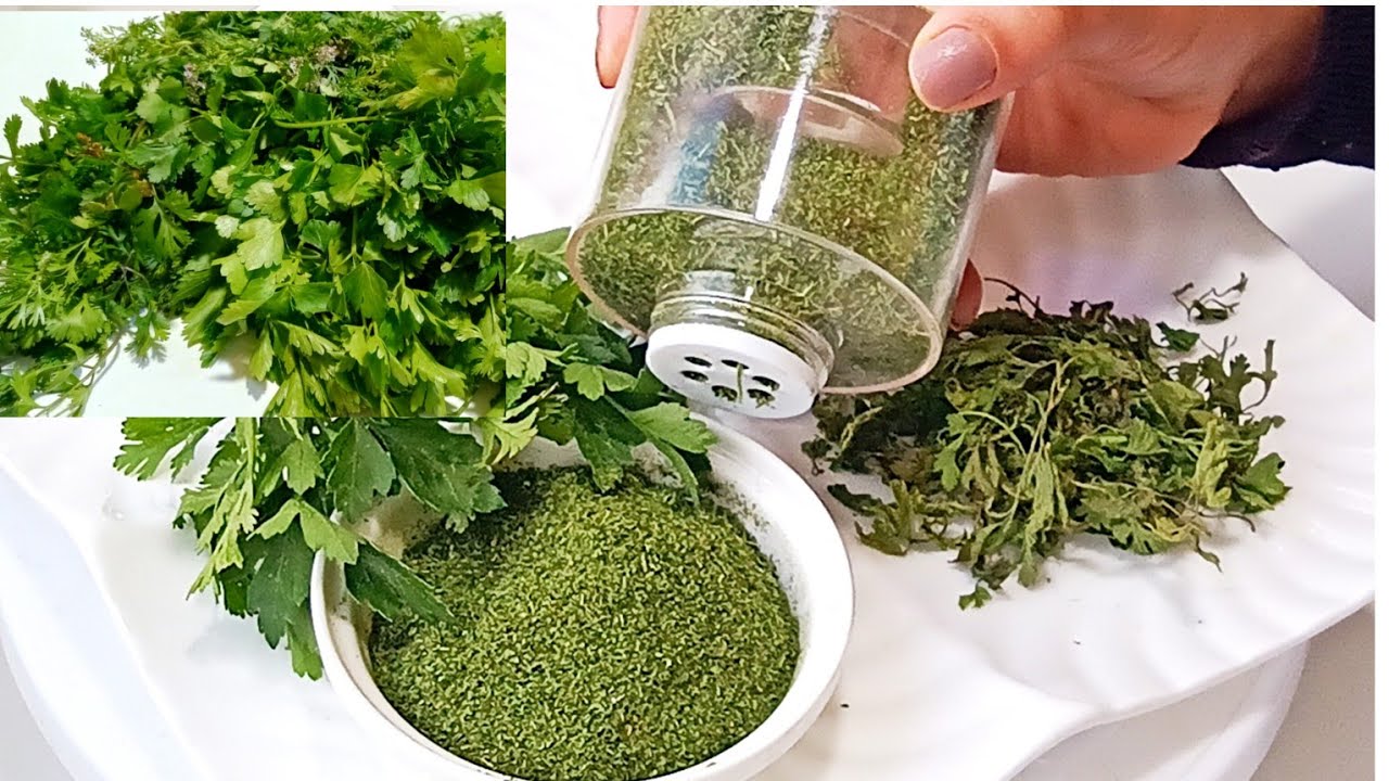 متشمشي ولا تجمدي ولا طحني أضمن طريقة تجفيف بقدونس وقزبرة والاحتفاض  بنكهتو ولونه  سنة يوجد في نهاره