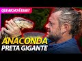 UMA SUCURI PRETA GIGANTE! | RICHARD RASMUSSEN