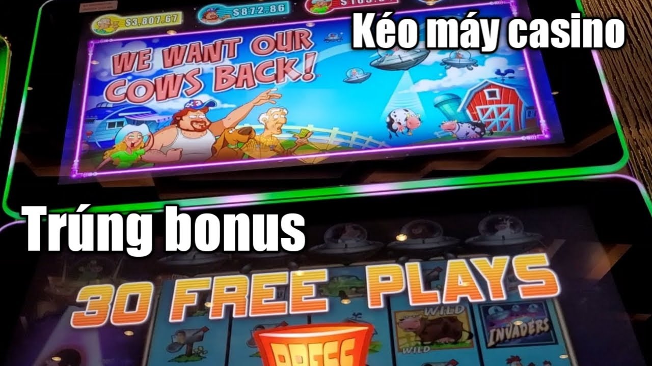 bandar 338a casino Kéo Máy | Máy đánh bạc | Planet moolah | trung bous