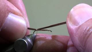 Meckejang Pheasant tail