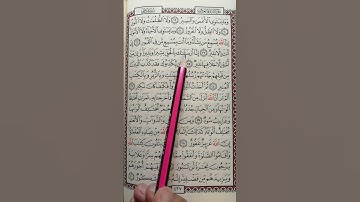 تعليم سورة فاطر من 19 إلى 24