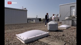 Sunflower Labs Beehive protecting BernEXPO