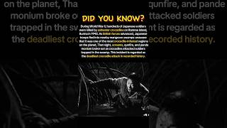 Download Lagu Japanese soldier attacked by crocodile while passing through swamp MP3