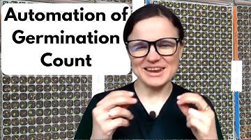 How to Automate Germination Rate & Seedling Count: AI Counts 240-Cell Trays with Computer Vision