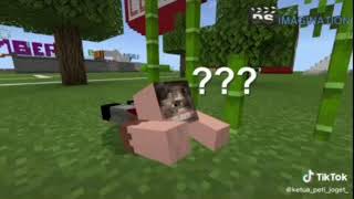 Animasi ngagakk 5g 😂😂🤣 iklan Marjan :) Minecraft