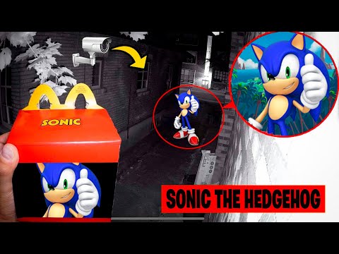 My LITTLE BROTHER buys the SONIC HAPPY MEAL in REAL LIFE!