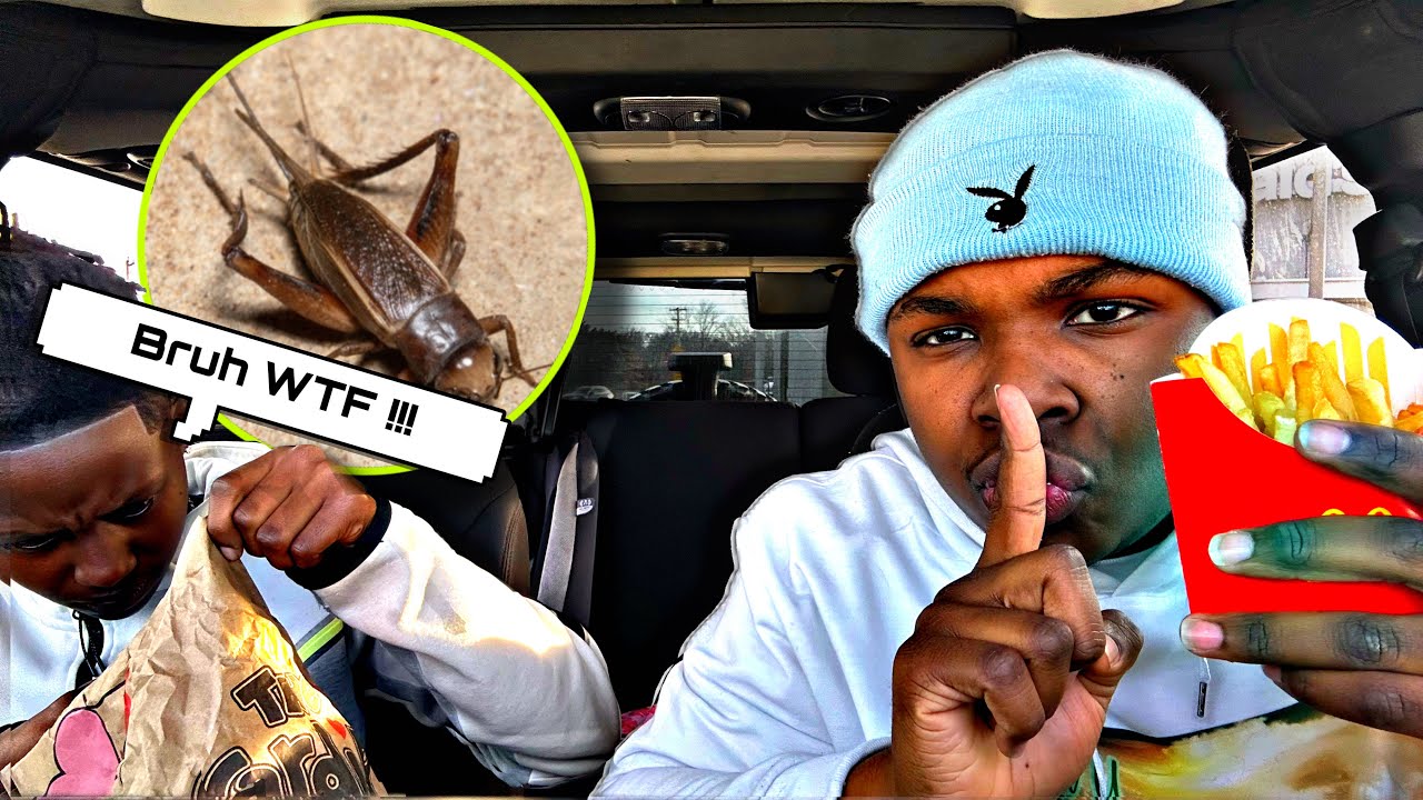 I PUT CRICKETS IN BUCKSTV FOOD **GONE WRONG**