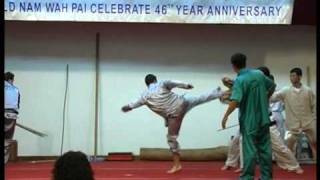 Nam Wah Pai 46th Anniversary - NWP NZ 4Men Repulsion Force