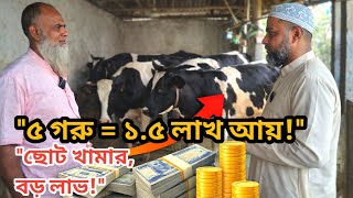 👉 ৫টি হলিস্টান ফ্রিজিয়ান গাভী গরুতে বছরে কত টাকা আয়? | ছোট খামারে লাভের হিসাব | @Shinha Agro