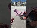 The perfect addition to our walks 🐾💦 #dog #dogshorts #dogvideos