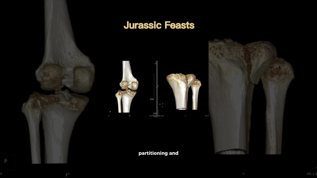 Jurassic ecosystems come alive through the secret messages in sauropod teeth