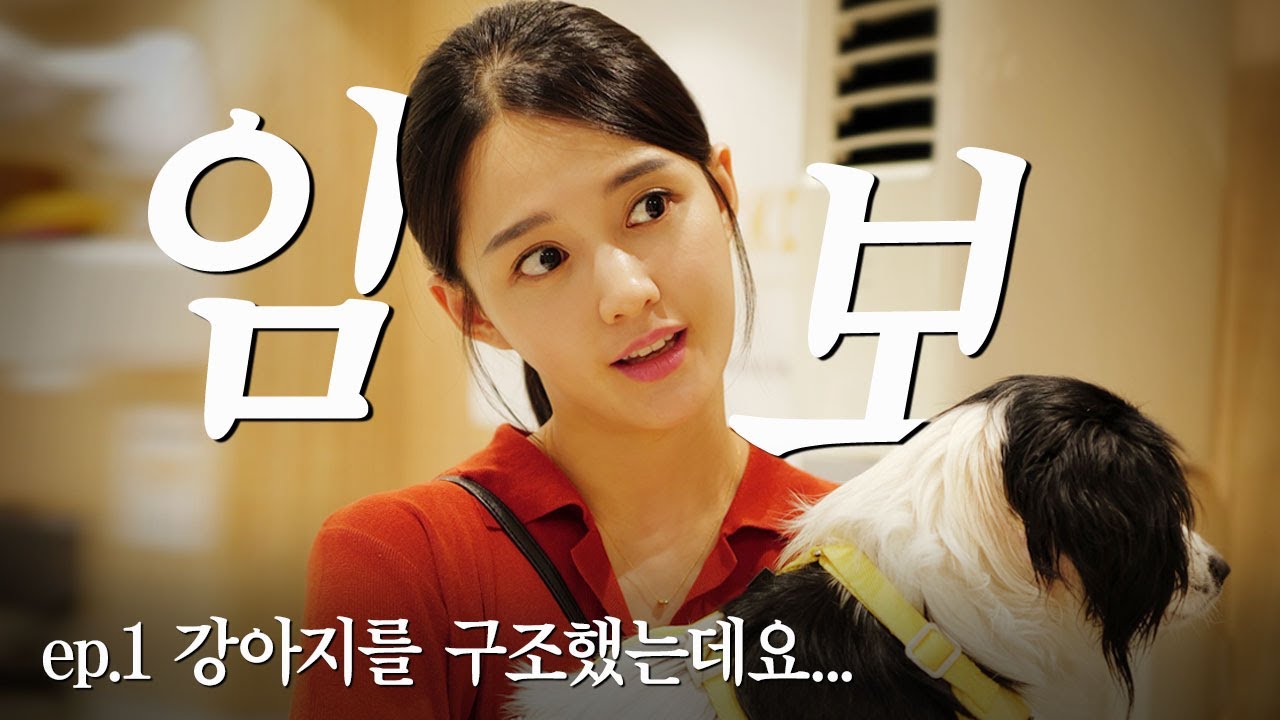 시골에 방치되어 있던 강아지를 임보하게 됐어요 #임보일기 #임보 #유기견