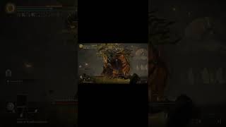 A Battle of Storms #eldenringdlc #shadowoftheerdtree #eldenring #eldenringgameplay #fromsoftware