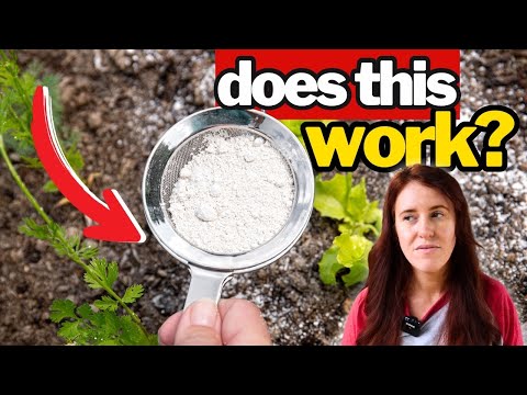 Diatomaceous Earth Food Grade Garden Use