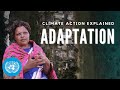 How do we adapt to climate change  climate action explained  undp  united nations