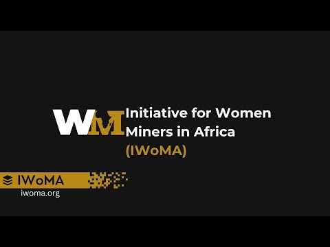 NGOs Building Partnerships at WiM-Africa Members Event by Dr Uche Igwe