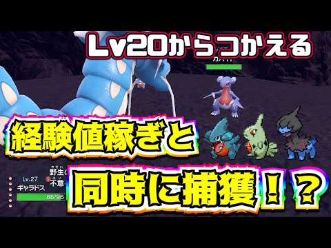 【ポケモンSV 】序盤に効率の良い経験値稼ぎと600族捕獲できる最高の方法！？【PokémonSV】