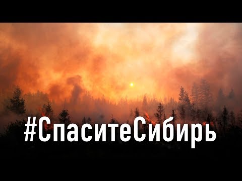 Видео: Что я думаю о пожарах в Сибири - #СпаситеСибирь