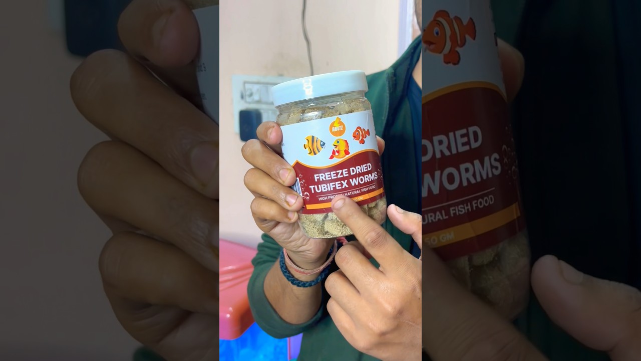 Boltz freeze dried tubifex worms 🪱unboxing & review 