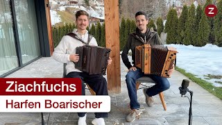 Harfen Boarischer - Steirische Harmonika