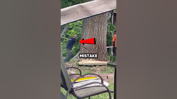 These Workers Made A Very Expensive Mistake 💸 (🎥:v11m11)