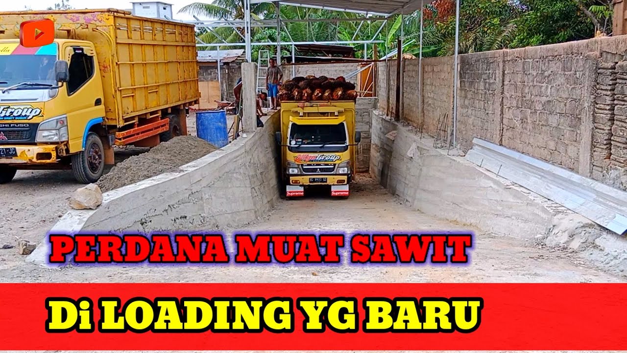 MUAT SAWIT DI RAM LOADING YG BARU‼️