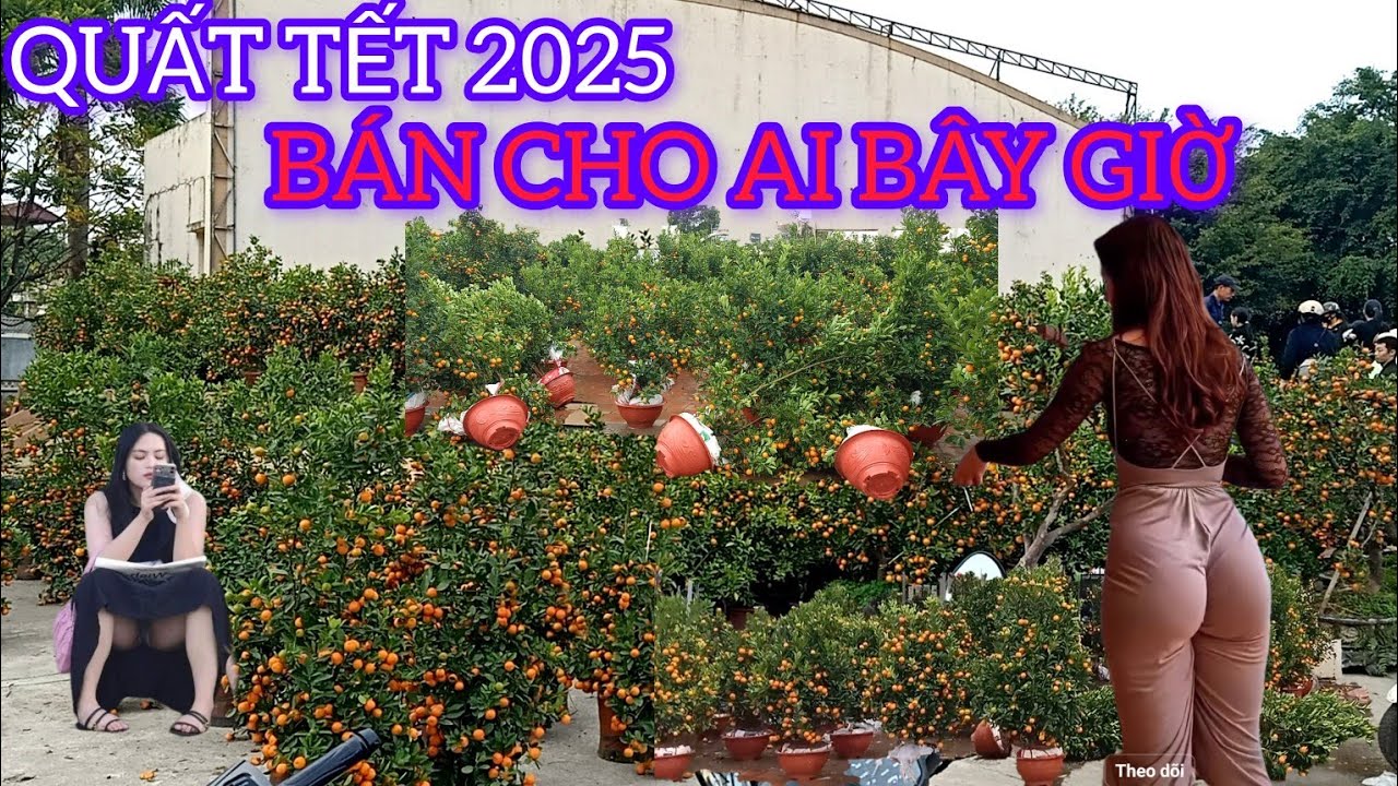 Ế NẶNG QUẤT TẾT 2025 TẠI AI THẾ NÀY TRẢ LỜI TÔI ĐI BÁNH TRƯNG Ở ĐÂU BUỒN KHỔ