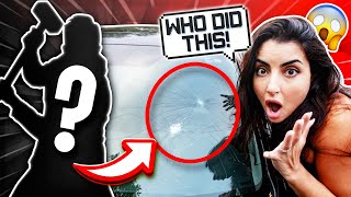 Who Smashed My Windshield!?