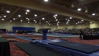 Colin Van Wicklen - Vault - 2019 Winter Cup Senior Finals