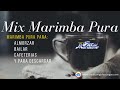 Mix Marimba Pura -Flor de Manzano - Marimba pura para almorzar, marimba pura para bailar