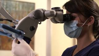 American Association of Endodontists - Endodontic Surgery screenshot 2