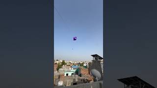 Bhai ne task fail kardiya 😍🪁 #kite #kiteflying #patang #patangbazi