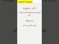 English Proverbs |A Bad Cat Deserves a bad rat |#proverbs #withurdutranslation
