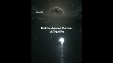 🕋✨الرحمن علم القرآن خلق الإنسان علمه البيان} |تلاوة القرآن الكريم خاشعة /القارئ حمزة بن/هدى الله ✨ 🕋