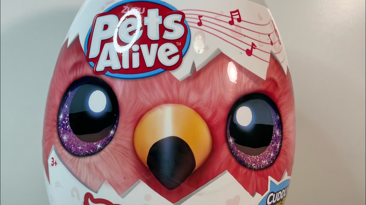 Pets Alive Chirpy Birds Interactive Speaking Pet Plush Toy by ZURU in 2023