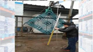 Test the Dropping Test between plastic pallet from Recycled and Virgin Matrial