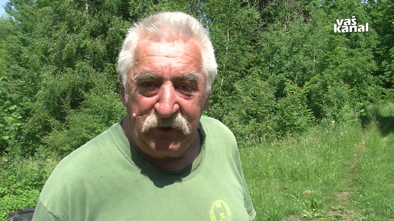 Kuhanje oglja na Gorjancih