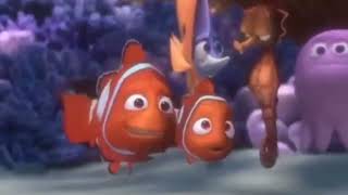 Sponge Beds (My Version)