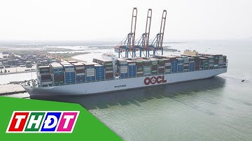 Bà Rịa - Vũng Tàu đón siêu tàu container | THDT
