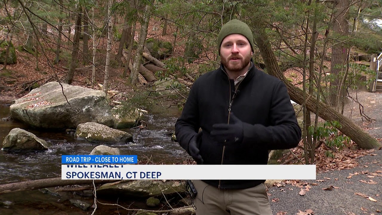 Road Trip: Close to Home - Enders State Forest in Granby