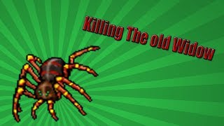 Tibia Killing The Old Widow - Elite Knight 105