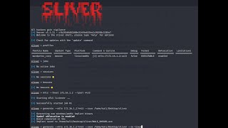 Cyberlabz Attack Range Part 2 (Proxy Exploit into Cyber Corp DMZ)
