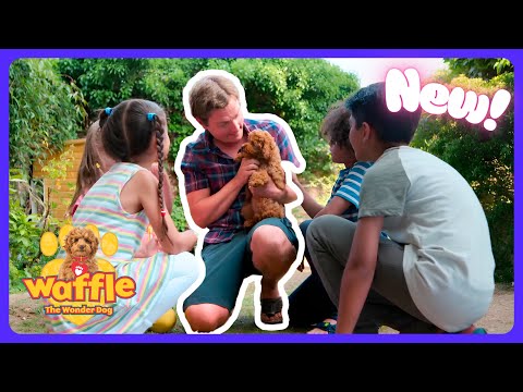 Waffle's Big EXPLORING Day! 🐶 Waffle the Wonder Dog | Full Episodes for Kids