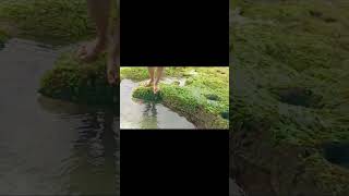 Titip Cinta  Yeni Inka travellingstories asmara travelling nature bluesky travel