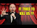 (Stand Up Comedy) Bill Burr's Nightmare Rescue Dog Experience (Hilarious Ending)