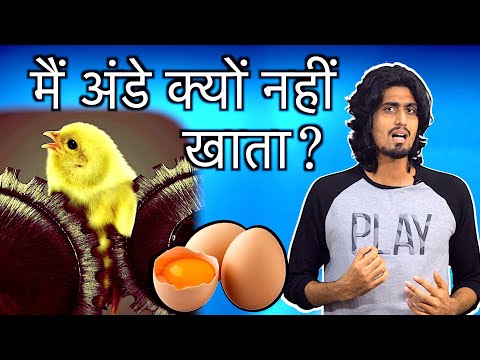 मैं अंडे क्यों नहीं खाता? | Why I don't eat Eggs? | Hindi | Veganism