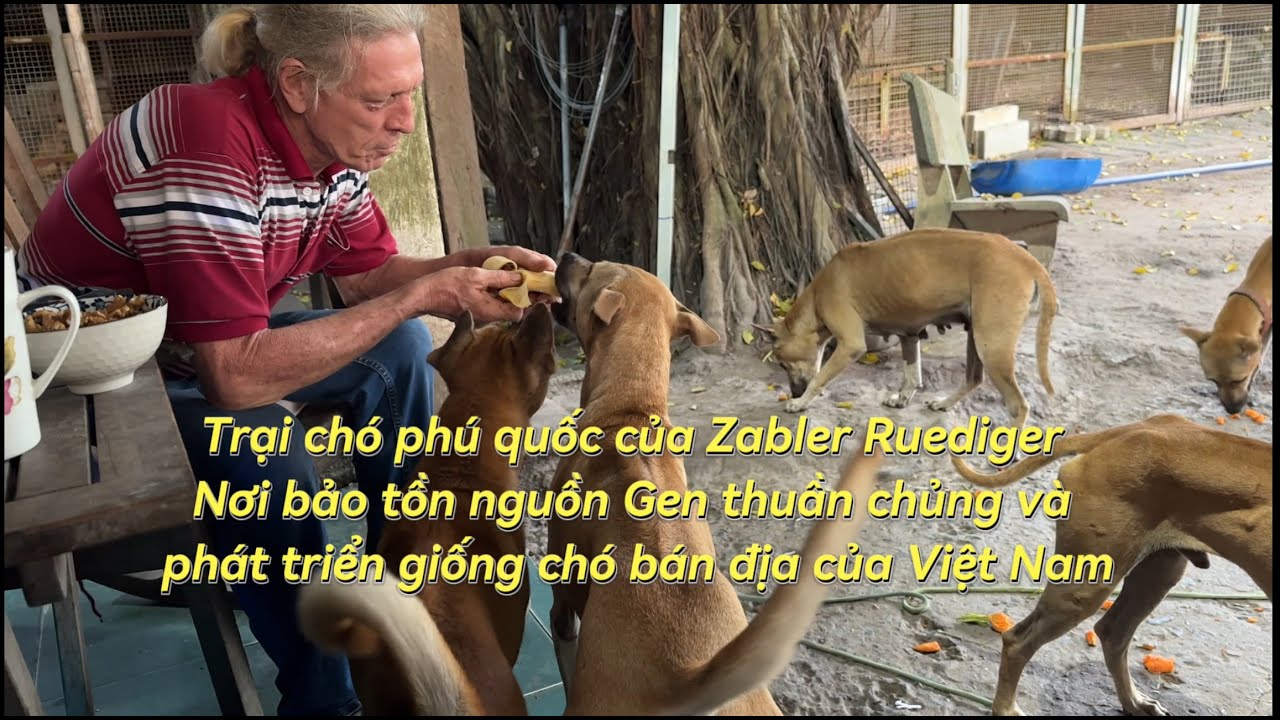 Trại bảo tồn và nhân giống chó Phú Quốc của Ông Zabler Ruediger